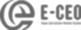 E-CEO